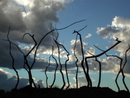 Sculpture, 2001